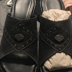 Harley Davison shoes